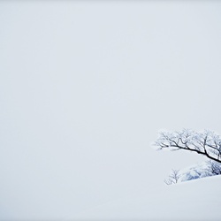 dailyPhoto25